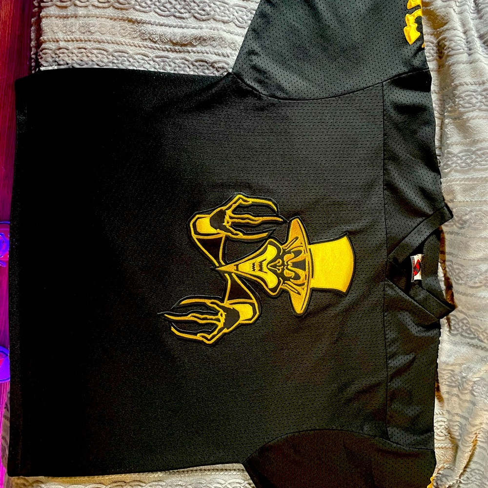 *rare* ringmaster jersey  no snags or rips